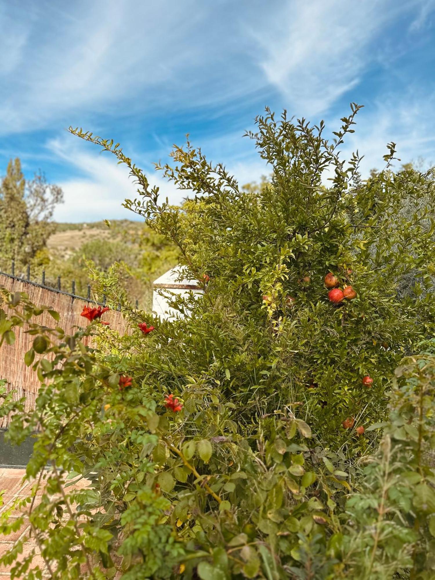 Huerta El Rincon * Zahara De La Sierra